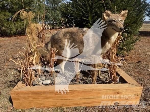 Coyote  Utilaje construcții - Altele
