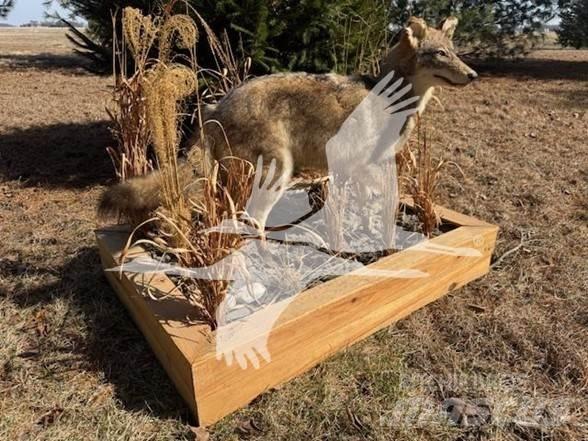 Coyote  Utilaje construcții - Altele