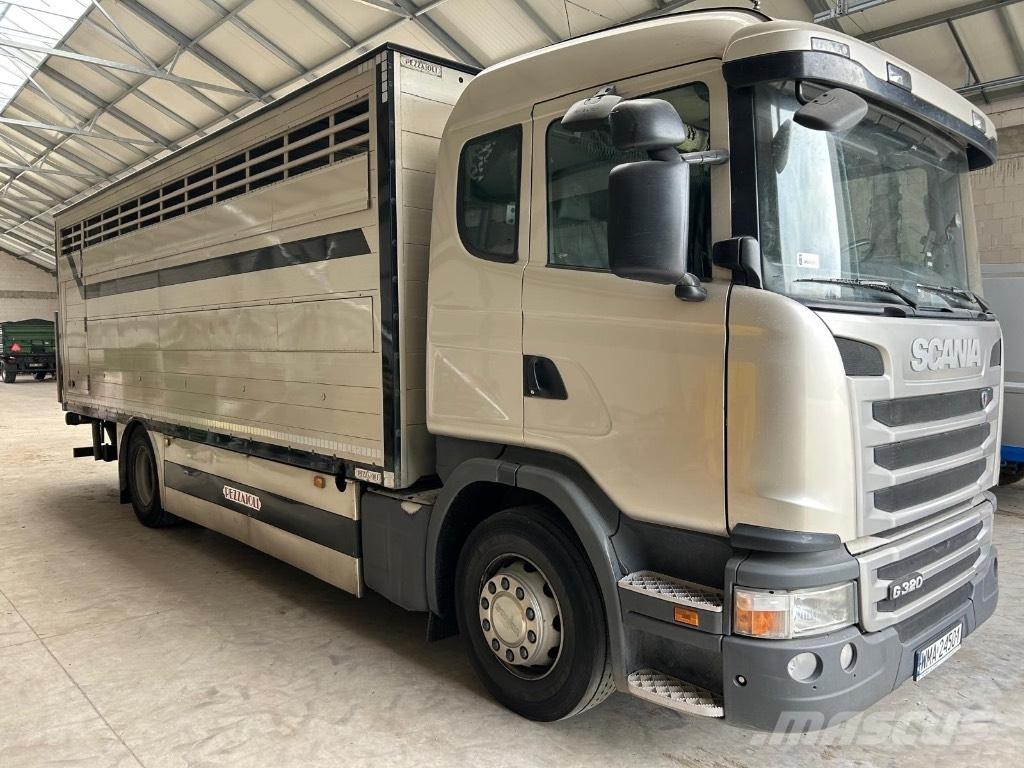 Scania G 320 Camioane transport animale