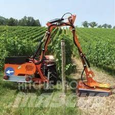  Rinieri BR-Vigna Trimmere gard viu