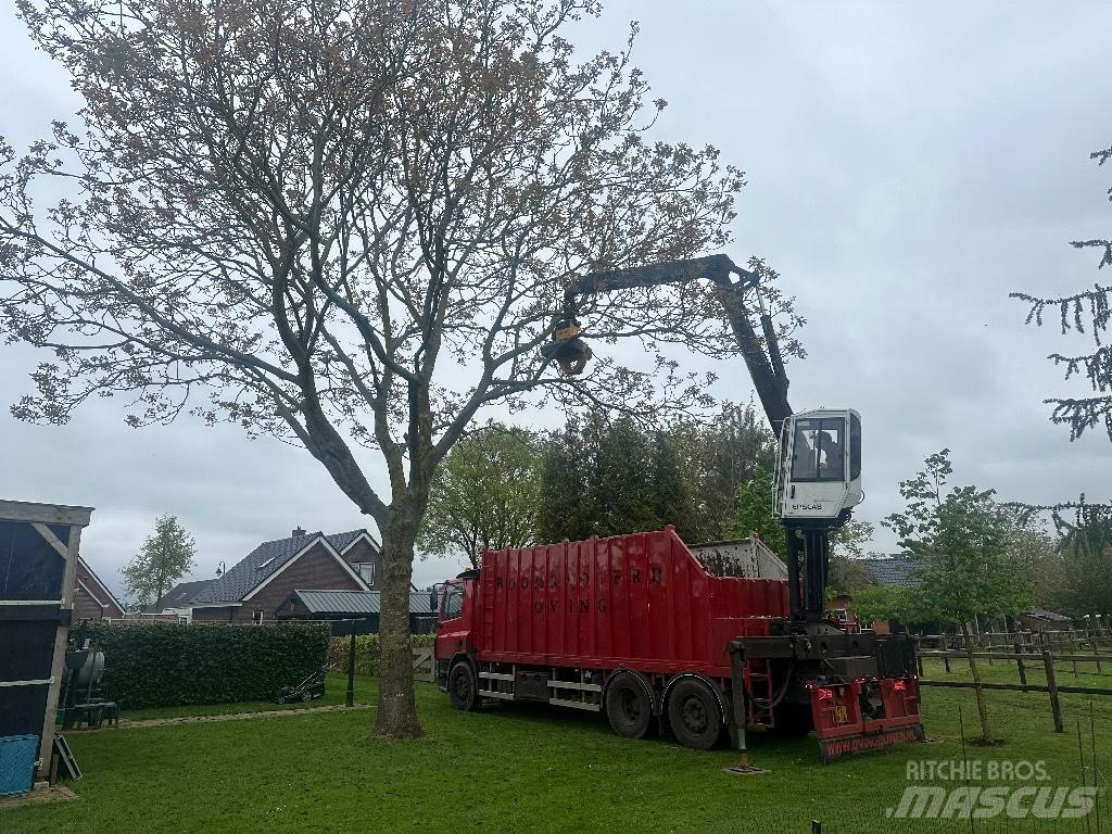 DAF cf As75pc Camion pentru lemne