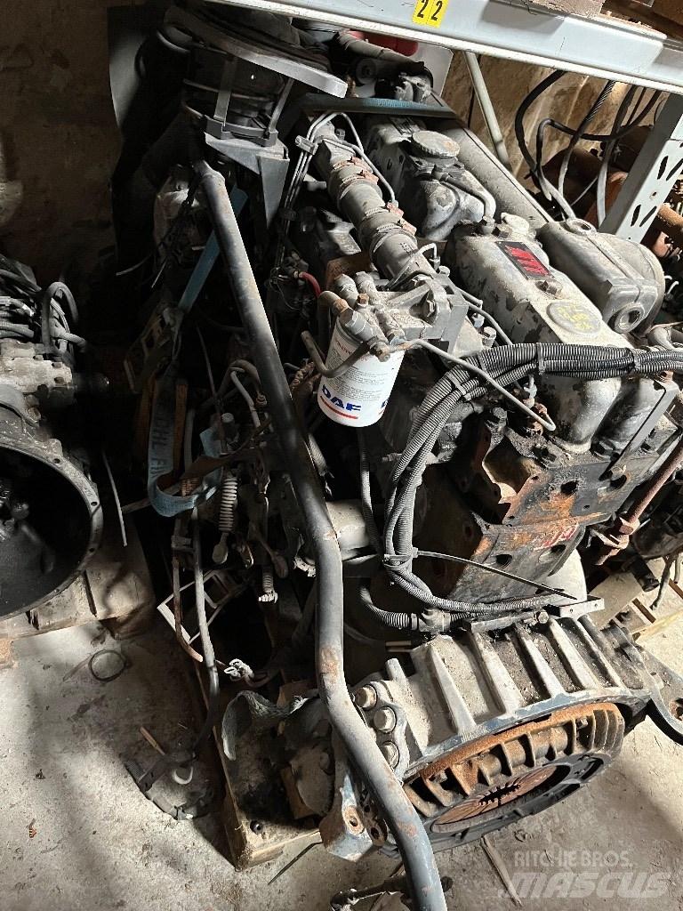 DAF WS295L Motoare