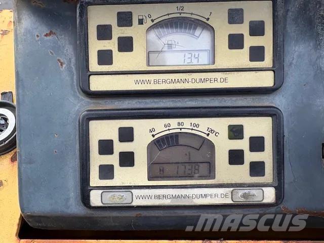 Bergmann 2050 Minitractor de teren