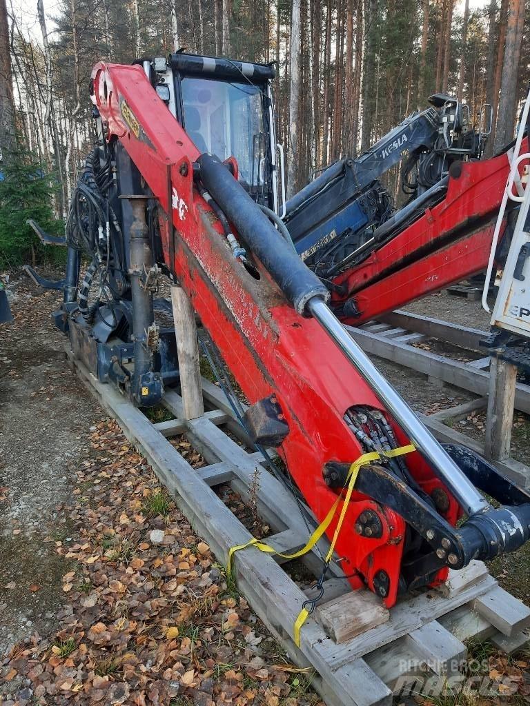 Epsilon M12L97 Macarale forestiere