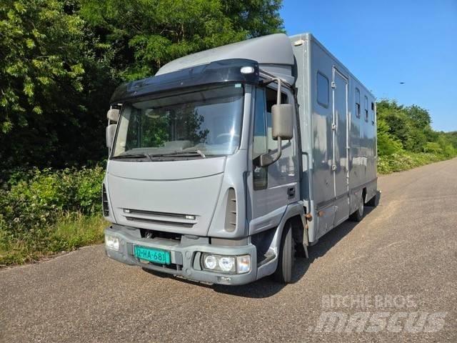 Iveco E 75 Camioane transport animale