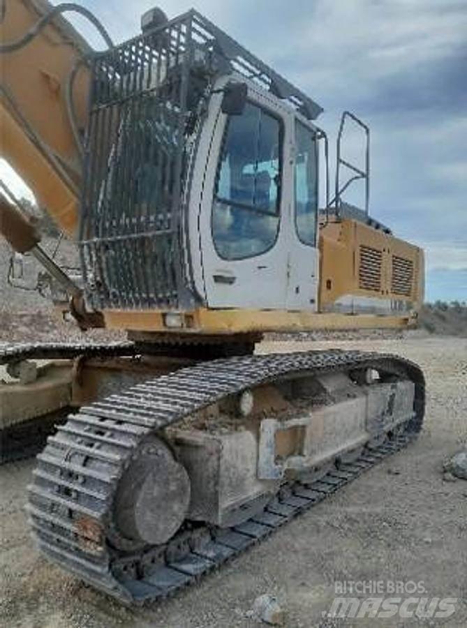 Liebherr R954 Excavatoare speciale