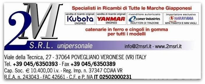 Yanmar TNV Motoare