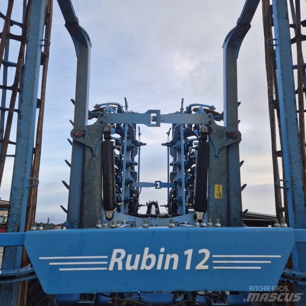 Lemken Rubin 12 Grape cu disc