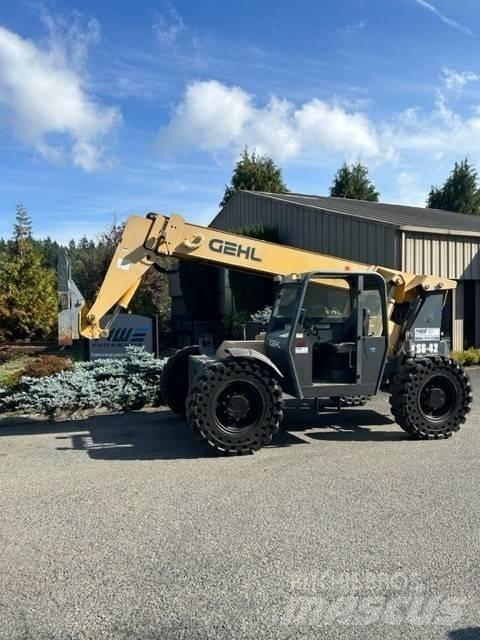 GEHL RS 6-42 Masini de teren dificil