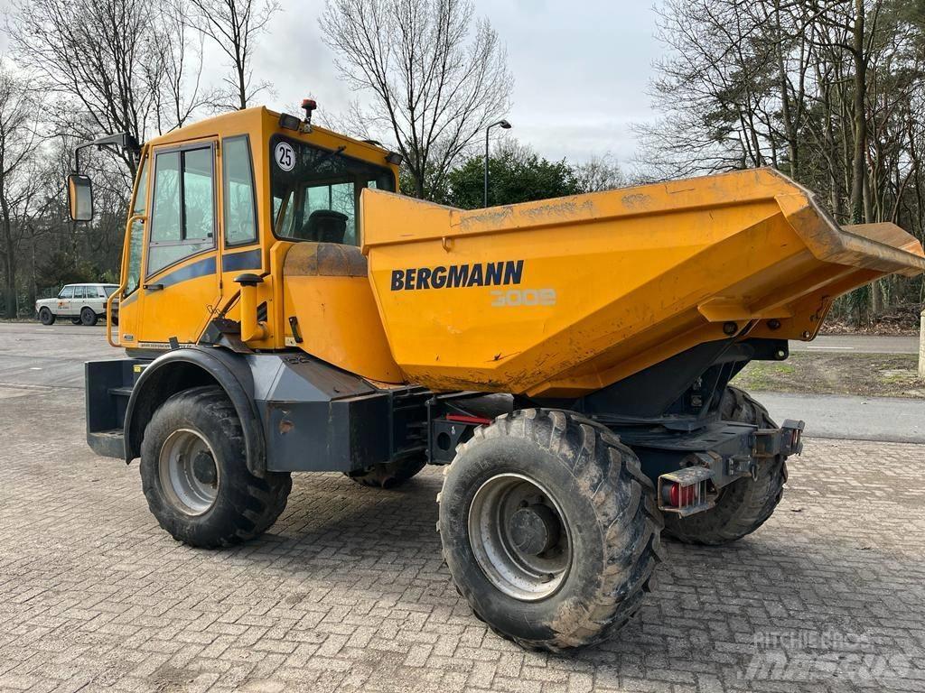 Bergmann 3009 R Transportoare articulate