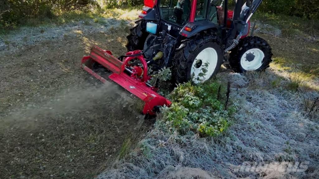  IM PROFFS BETESPUTS Cositoare