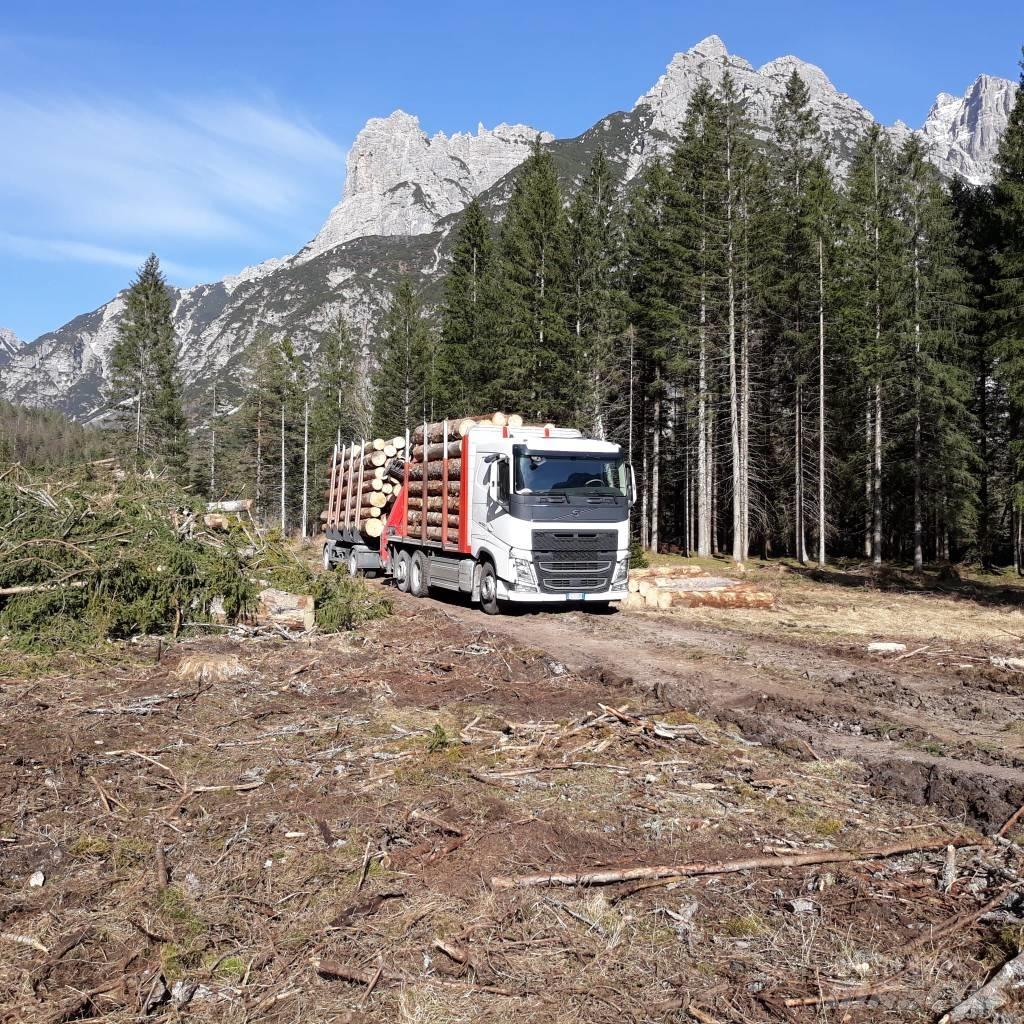 Volvo Truck Remorci forestiere