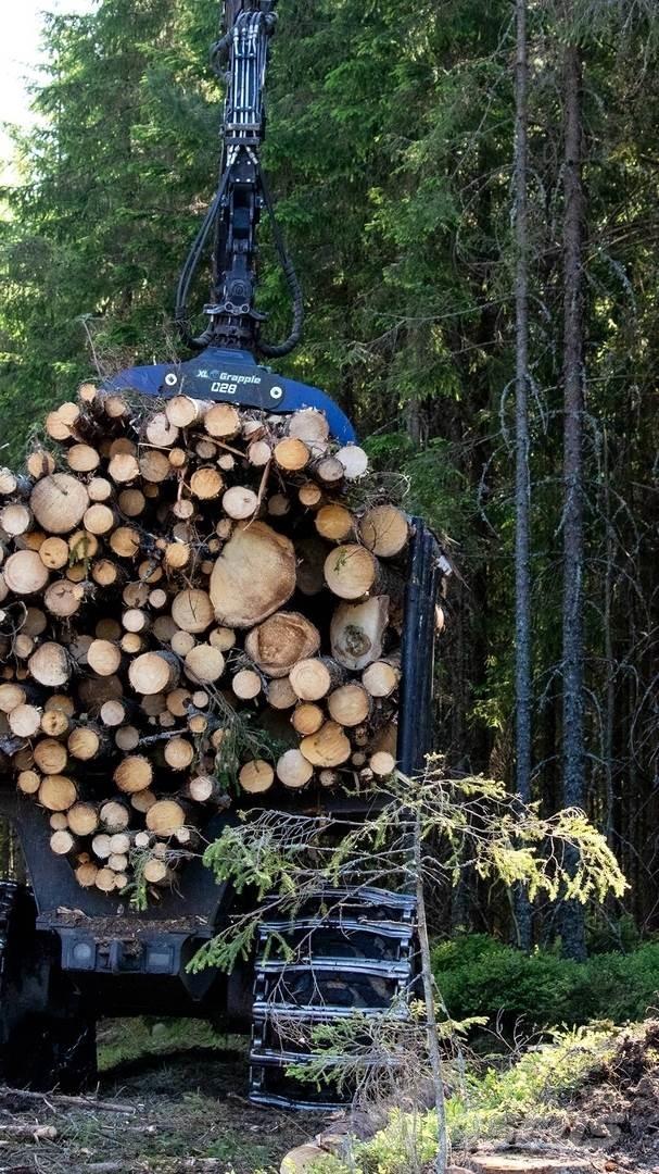  XL Grapple 028 STD Cupe forestiere