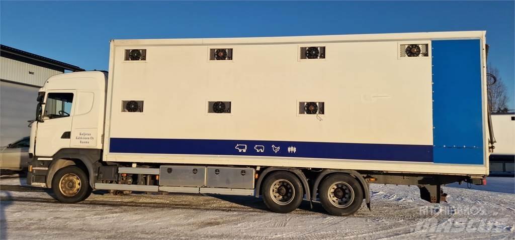 Scania R450 Camioane transport animale