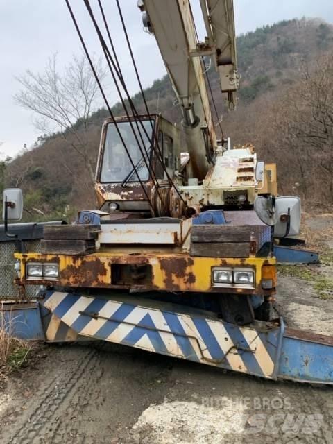 Tadano TR250M-4 Macara teren accidentat