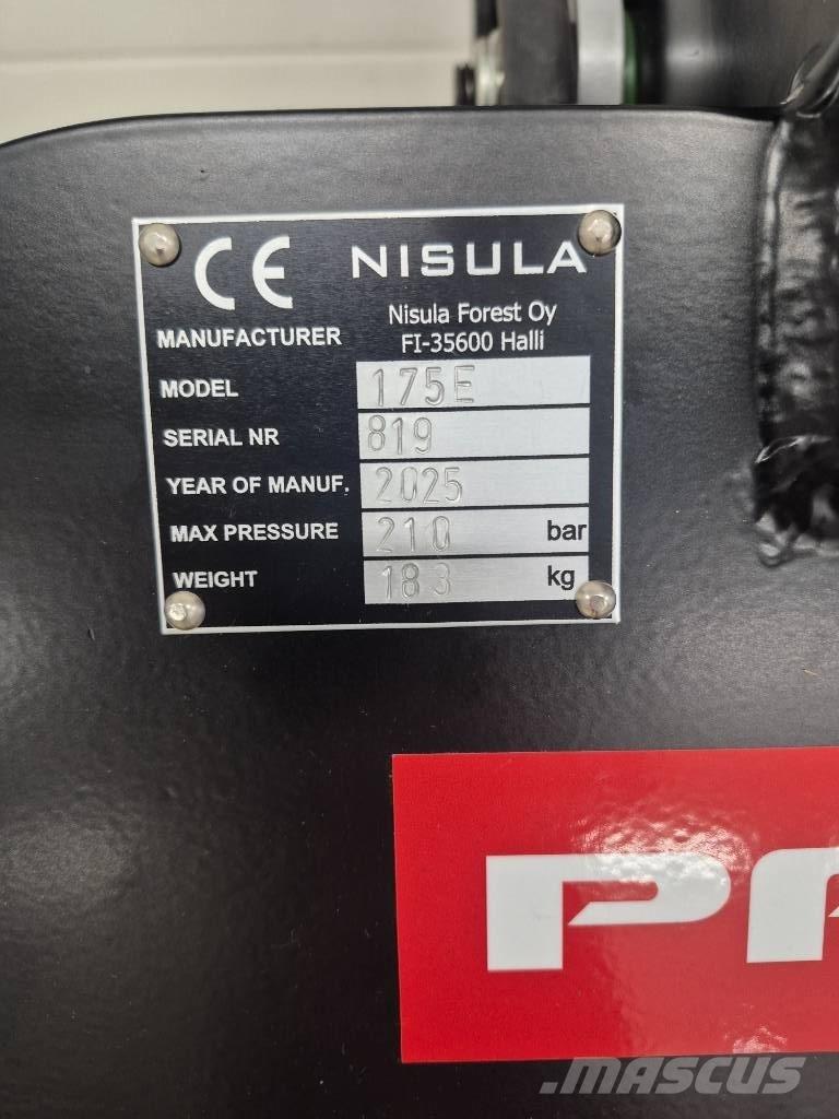 Palms 175 E Cupe forestiere