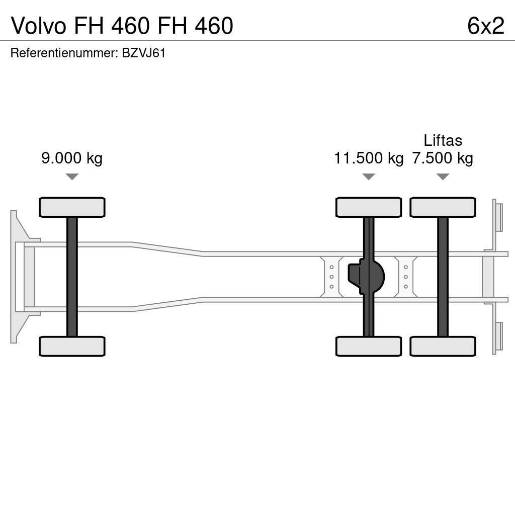 Volvo FH 460 Camion cu carlig de ridicare