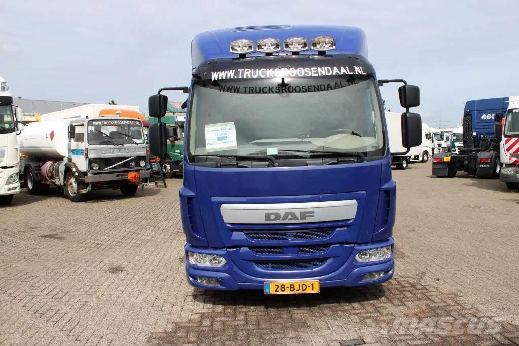 DAF LF 230 + EURO 6 Autocamioane