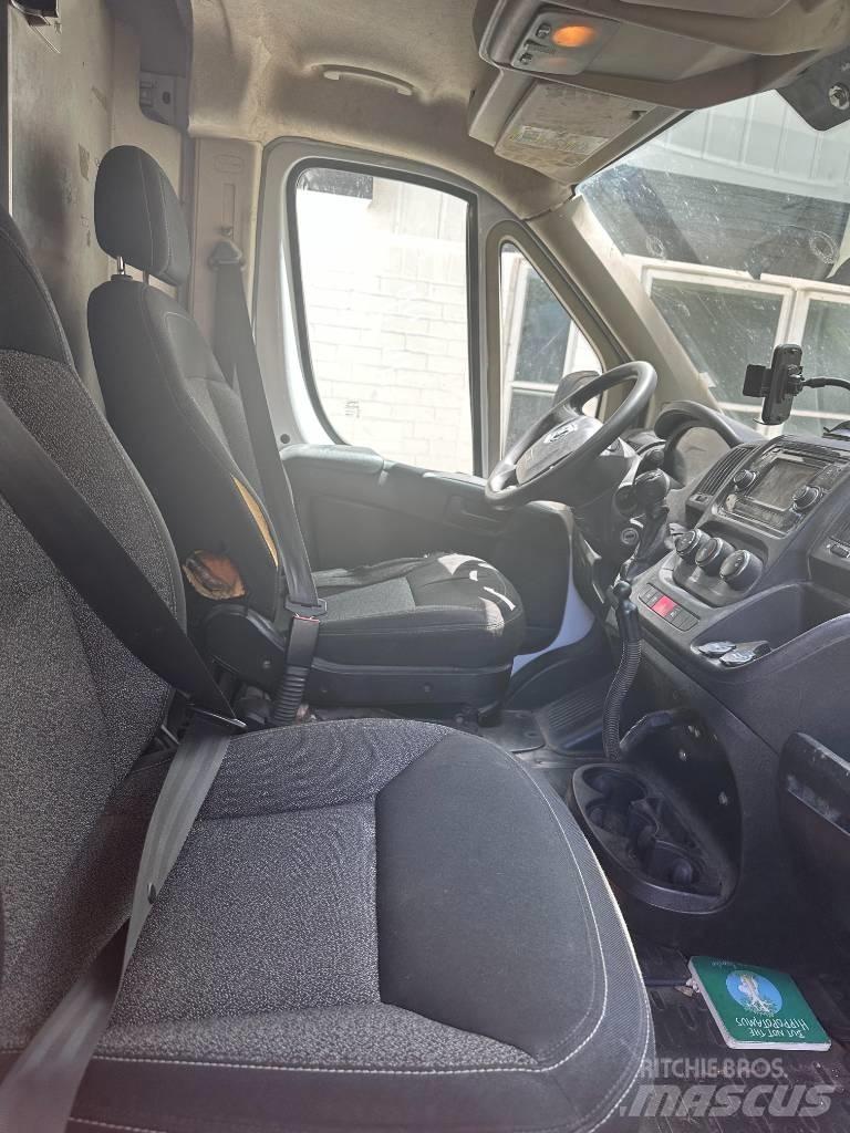 Dodge promaster Autocamioane