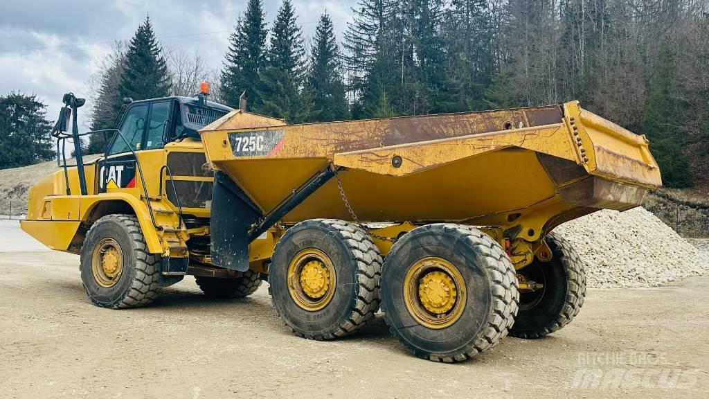 CAT tombereaux Minitractor de teren