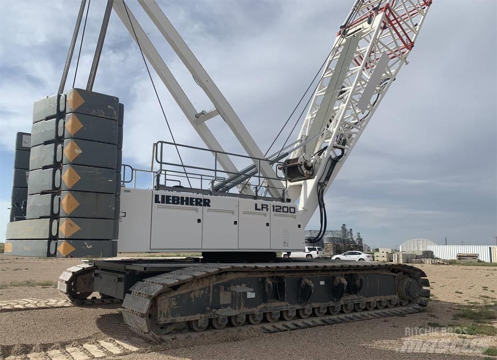 Liebherr LR 1200 Macarele