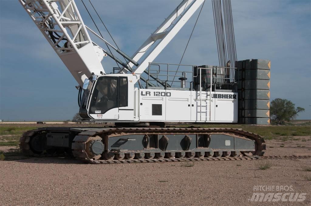 Liebherr LR 1200 Macarele