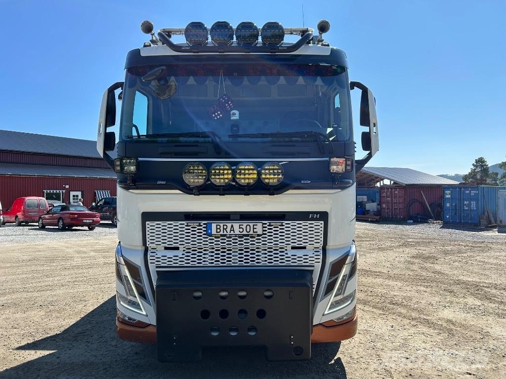 Volvo FH 540 Camion cu carlig de ridicare