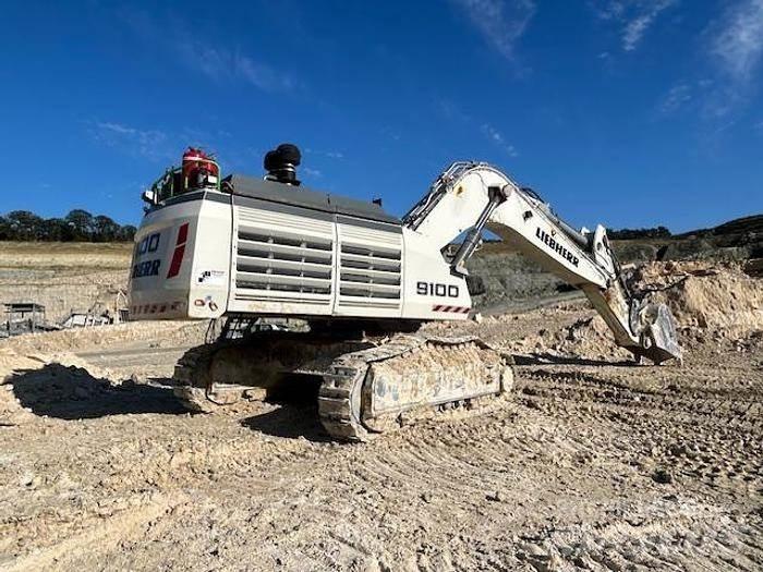 Liebherr R9100 Excavatoare speciale