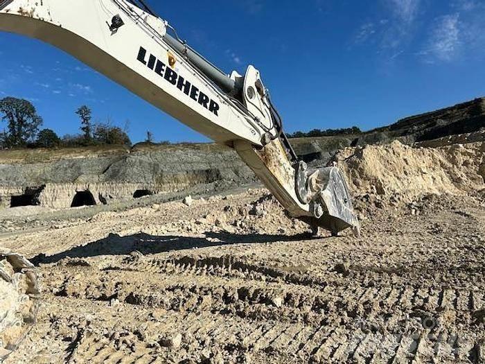 Liebherr R9100 Excavatoare speciale