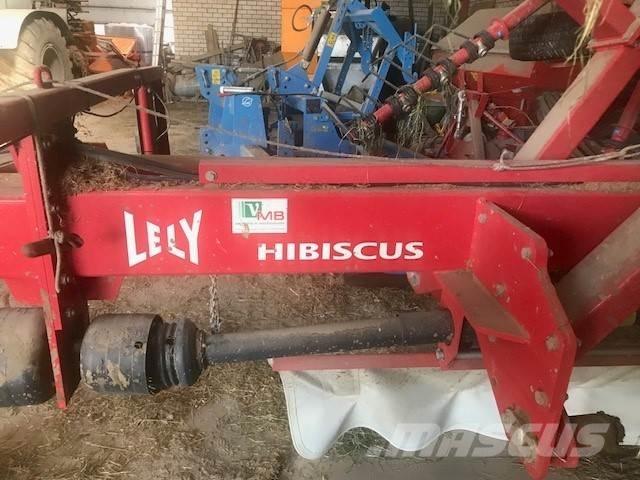 Lely Hibiscus 725 Greble