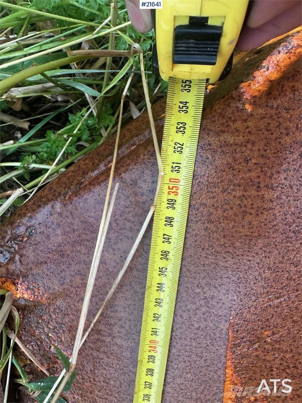  Gmill HDA 265 plow. Transport - Altele