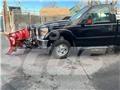 Ford F 350 Camioane platforma/prelata