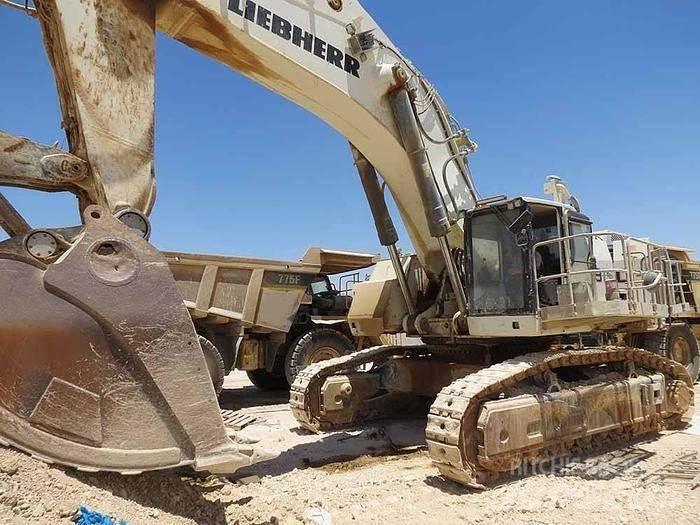 Liebherr R9150 Excavatoare speciale