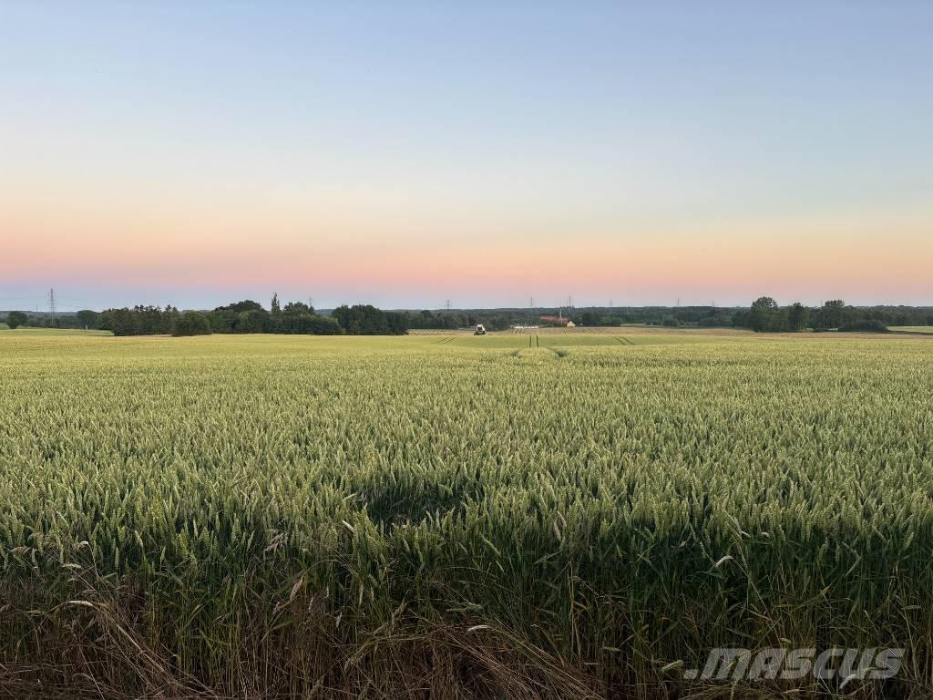 Case IH Maxxum 115 Tractoare