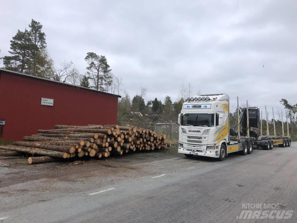 Scania R 650 Camion pentru lemne