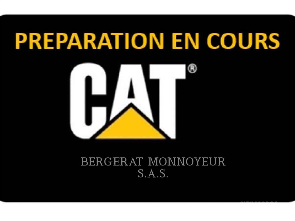 CAT 313F Excavatoare pe șenile
