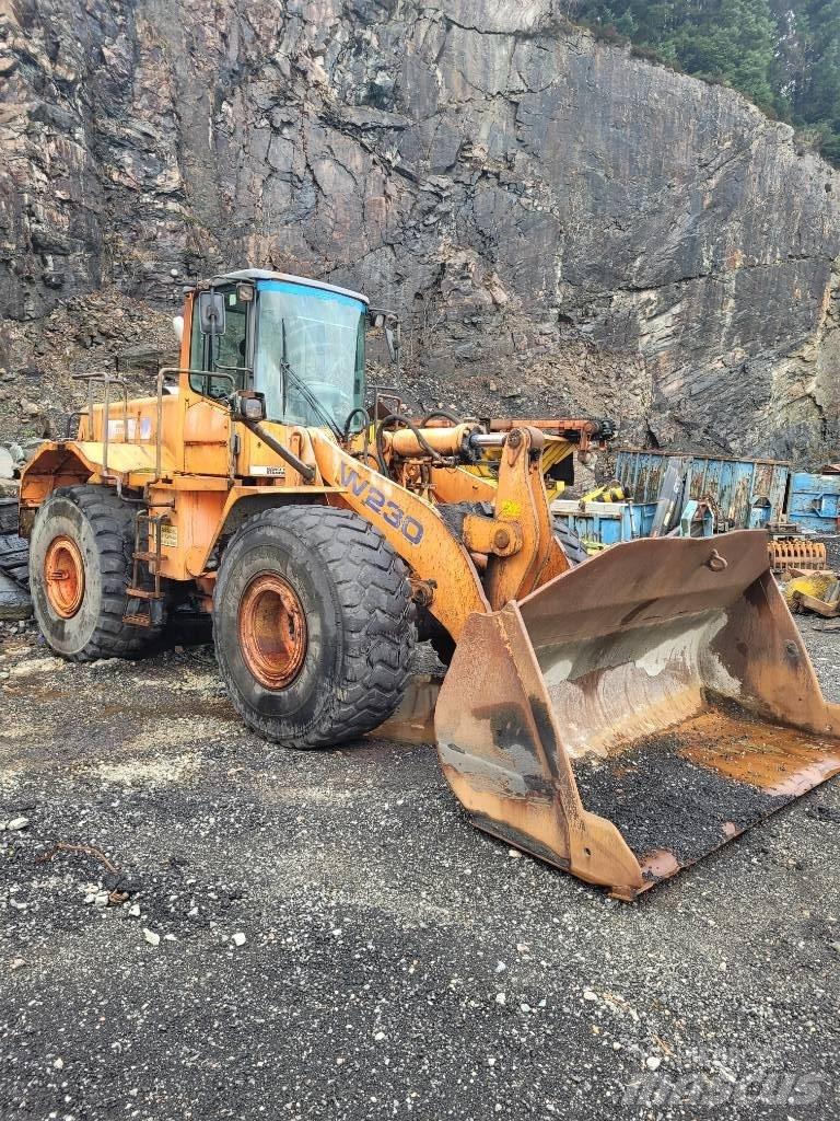 Fiat-Hitachi w230 Incarcator pe pneuri