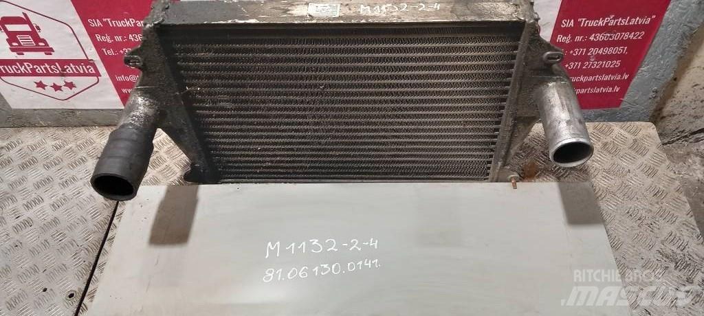 MAN TGA.    81061300141 Radiatoare