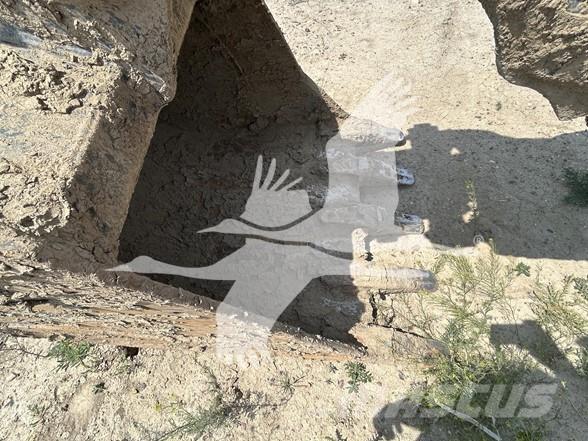 CASE CX160D Excavatoare pe șenile
