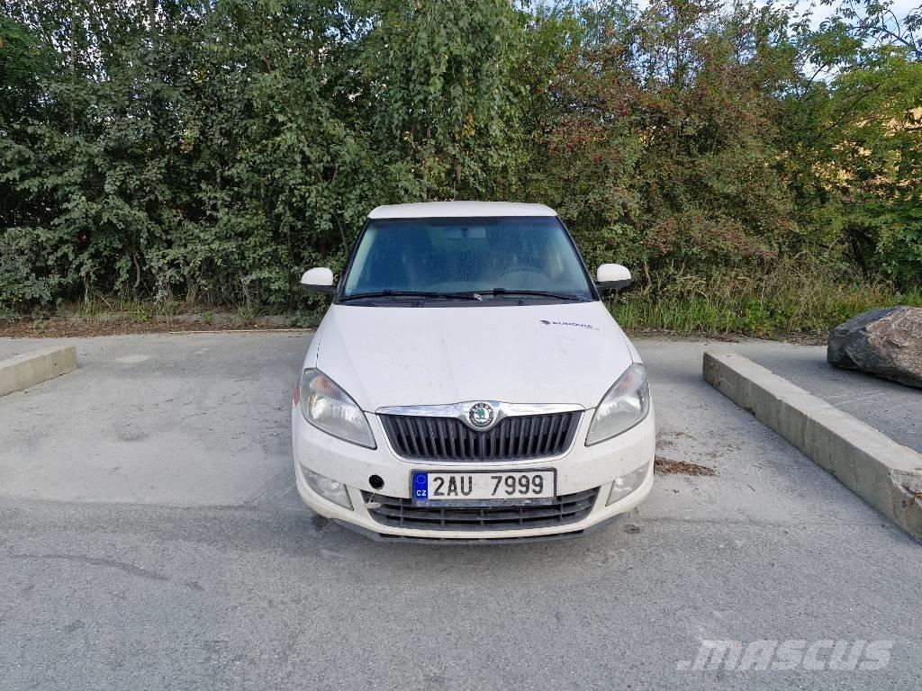 Skoda FABIA Masini