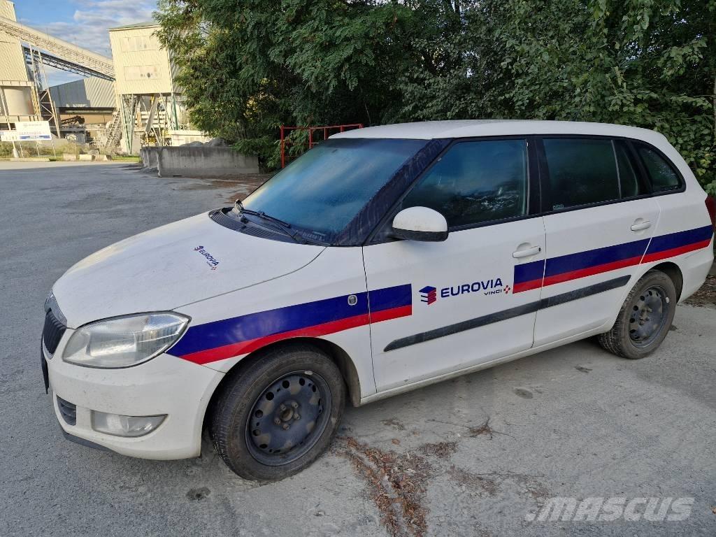 Skoda FABIA Masini
