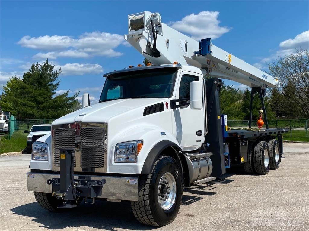 Manitex 30102 C Camioane cu macara
