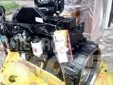 Cummins 6BTA5.9-C125 Motoare