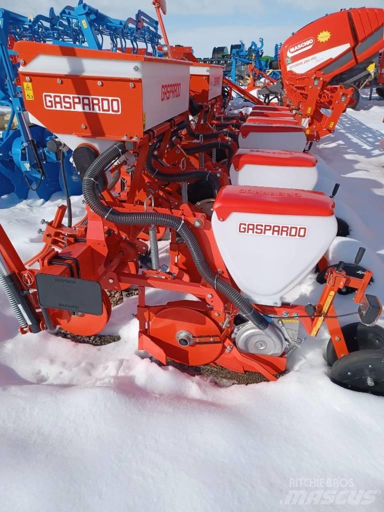 Maschio Sarah 6 Semanatoare