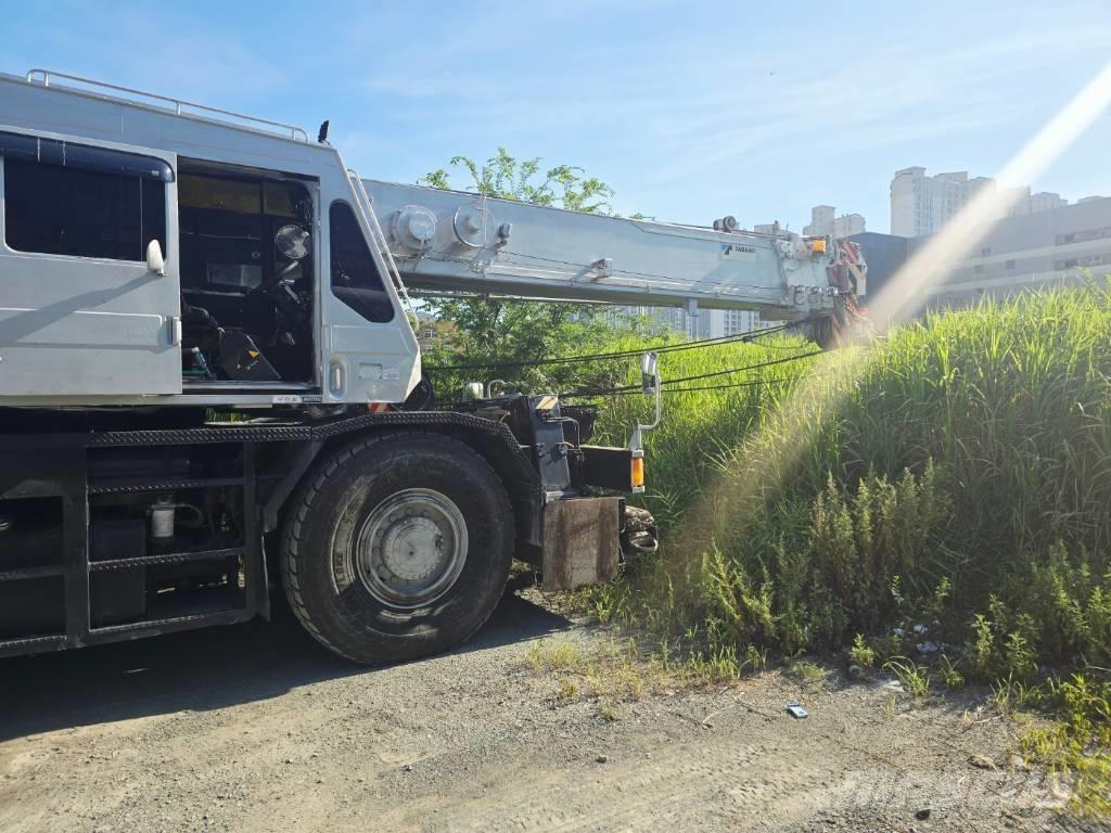 Tadano TR 250 M-5 Macara teren accidentat