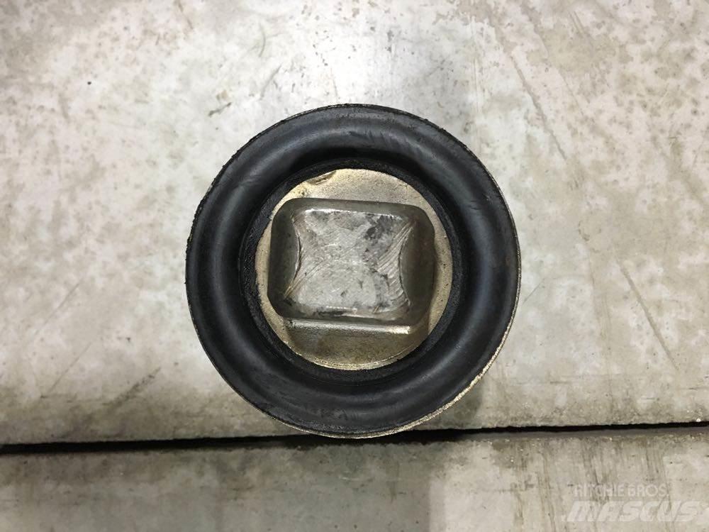 Meritor  Sasiuri si suspensii