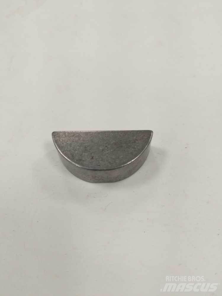 Meritor  Sasiuri si suspensii