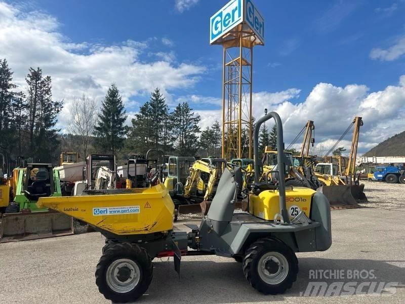 Neuson 3001 Minitractor de teren