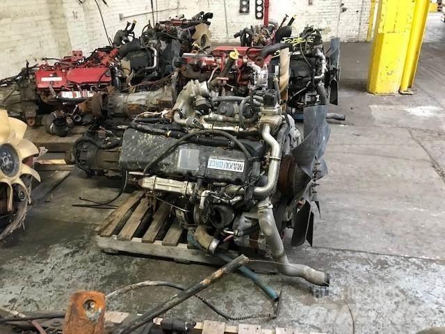 International MFX13 Motoare
