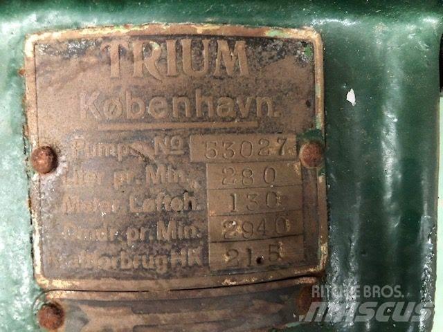  TRIUM QZKS Vandpumpe Pompa de apa